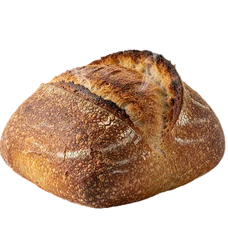 Steam & Crust