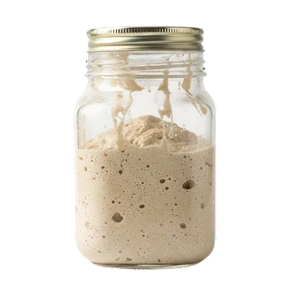 Wild Leaven & Starters