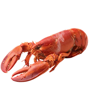 Shellfish & Shucking