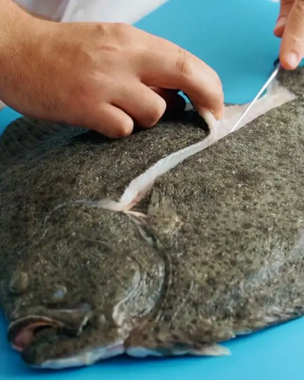 #12 Butchering Flatfish