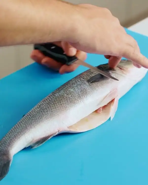 #13 Butchering Round Fish