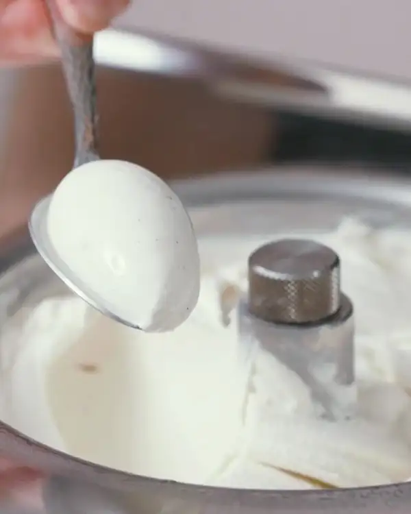#2 Vanilla Ice Cream