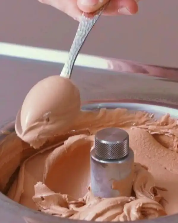 #3 Chocolate Ice Cream