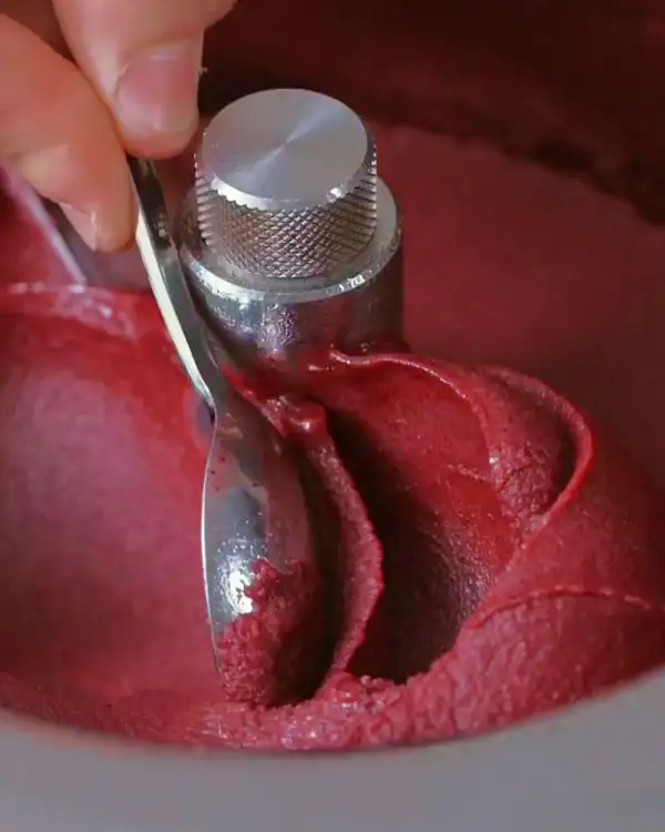 #6 Blueberry & Port Wine Sorbet