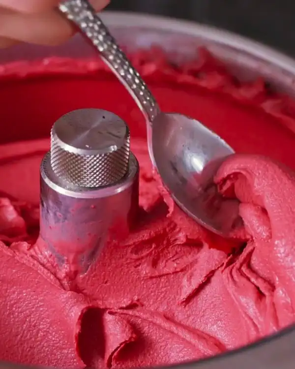 #7 Beetroot & Ricotta Savory Ice Cream