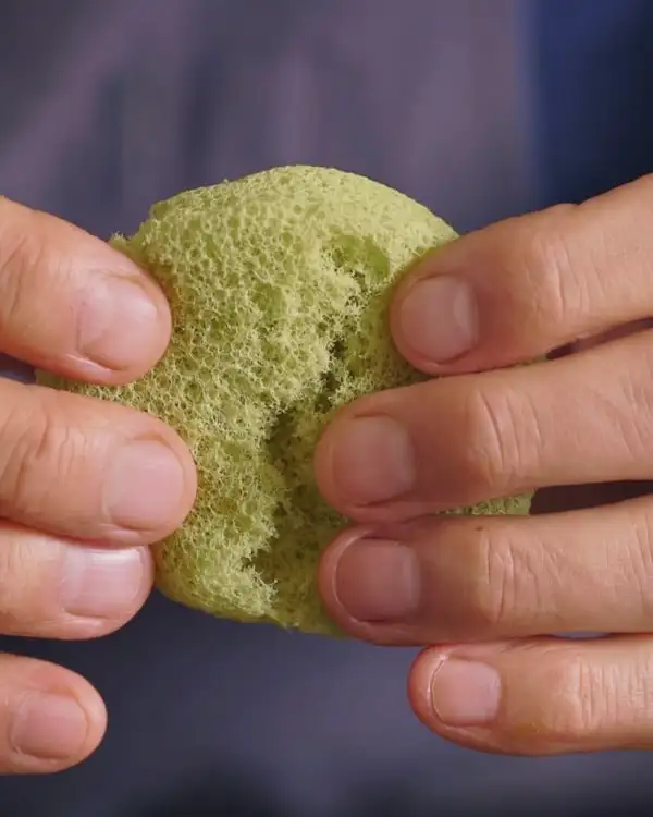 #6 Free-Dried Seaweed Pesto Foam