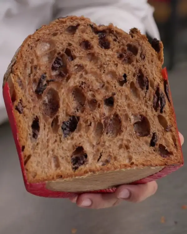 #9 Chocolate Panettone: Shaping & Baking
