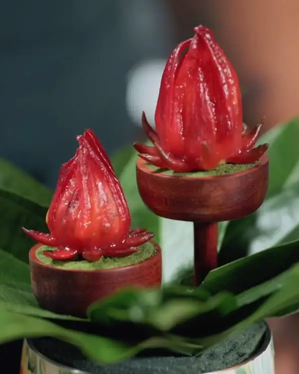 #1 Hibiscus Flowers Stuffed with Coconut & Mamey