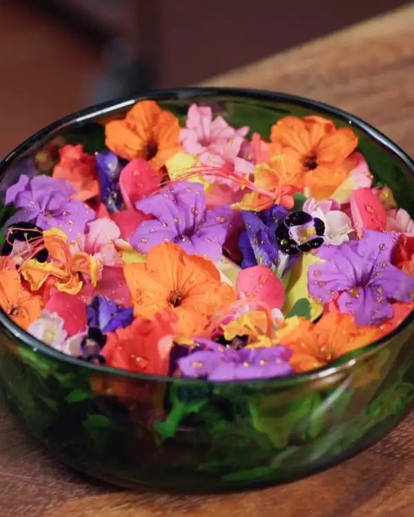 #5 Caribbean Flower Salad with Emperor’s Torch Vinaigrette