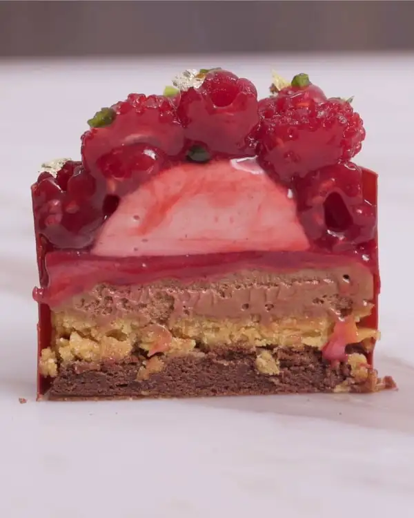 #17 Chocolate Raspberry Entremet Assembly