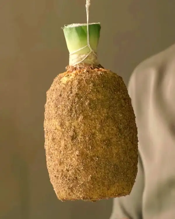 #6 Pineapple Guanciale