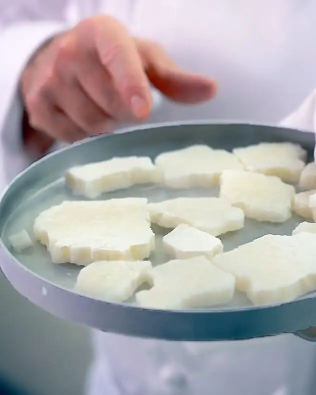 #5 Freeze-dried Mozzarella Powder