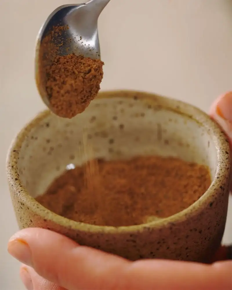#9 Dried Mushroom Powder