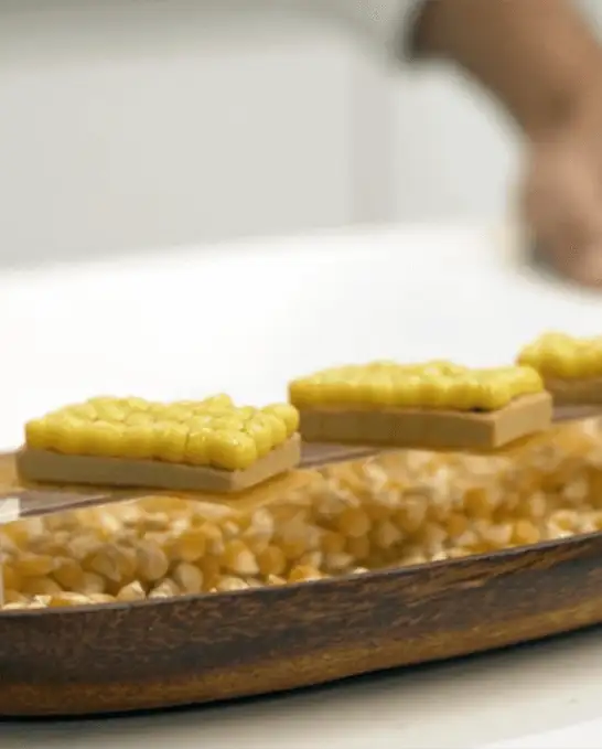 #2: "Tatín de foie gras"