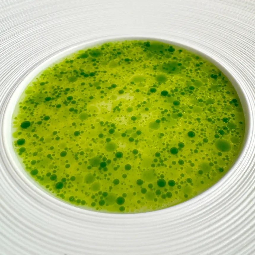 creation thumb for Apple-Celery Vinaigrette & Dill Oil