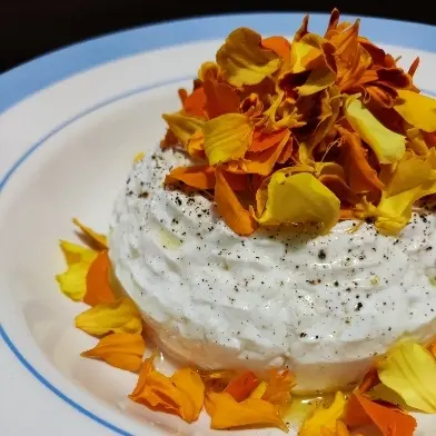 creation thumb for Cheese and flowers