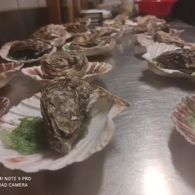 creation thumb for Rock oysters with champagne 