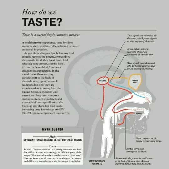 creation thumb for Sensory