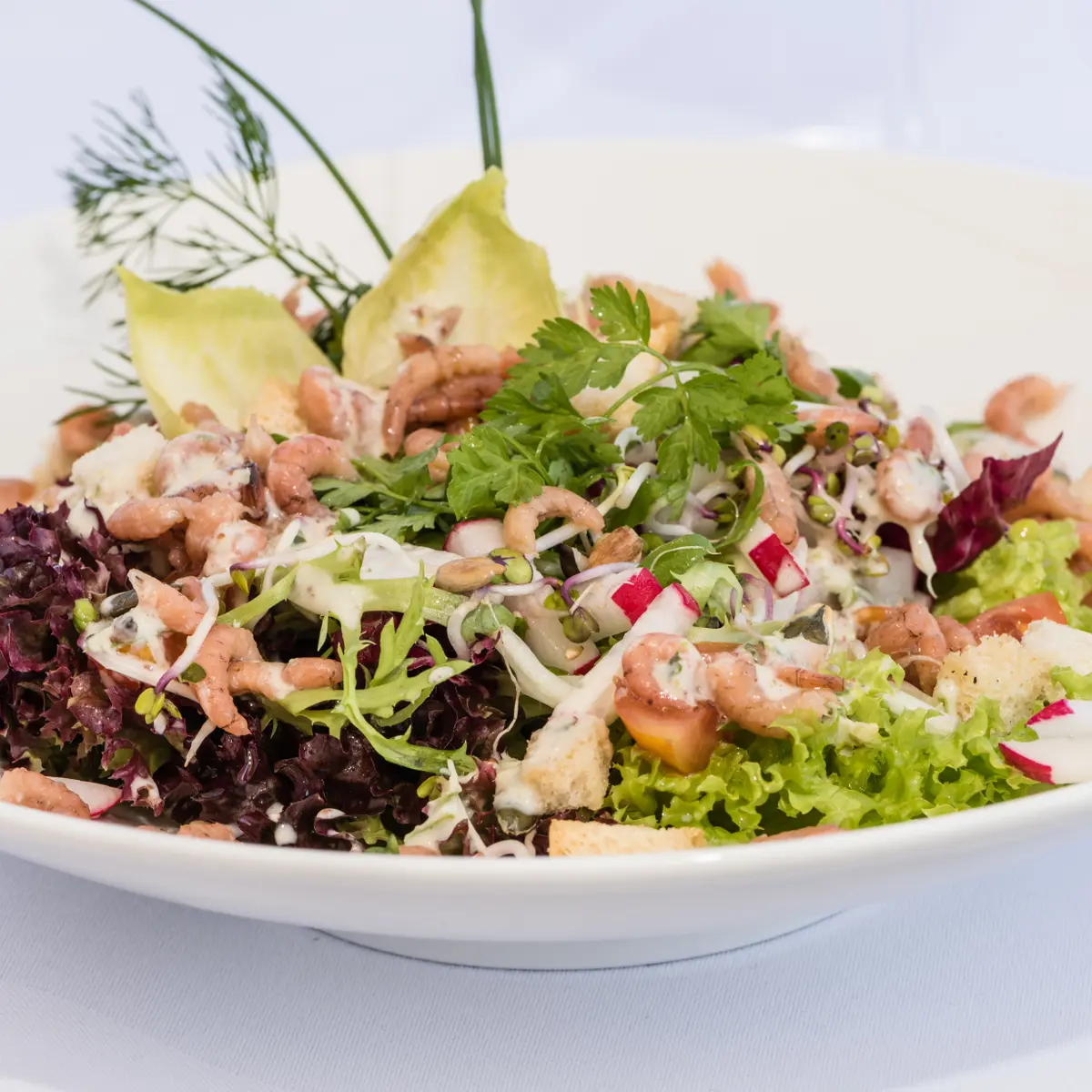 creation thumb for colorful leaf salads