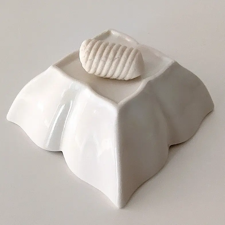 creation thumb for Gyozas de Riz Végétaliennes