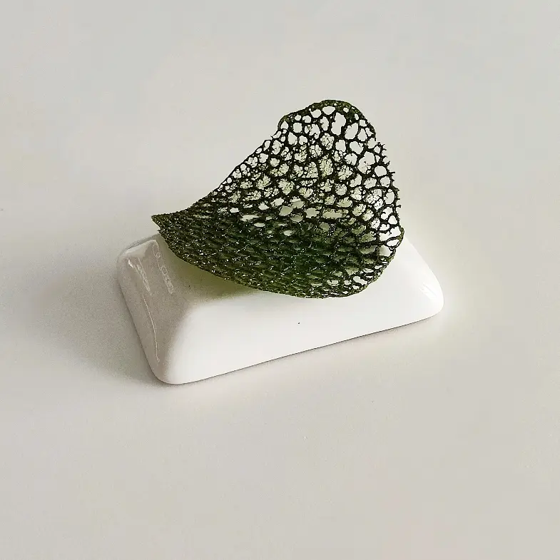 creation thumb for Sea Coral Tuile with Chlorophyll