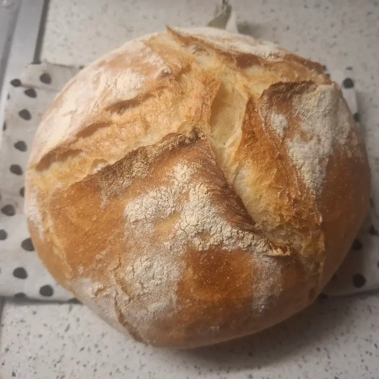 creation thumb for Homemade quick white bread
