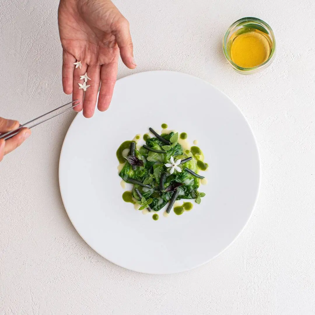 creation thumb for Trocadero lettuce and Pesto