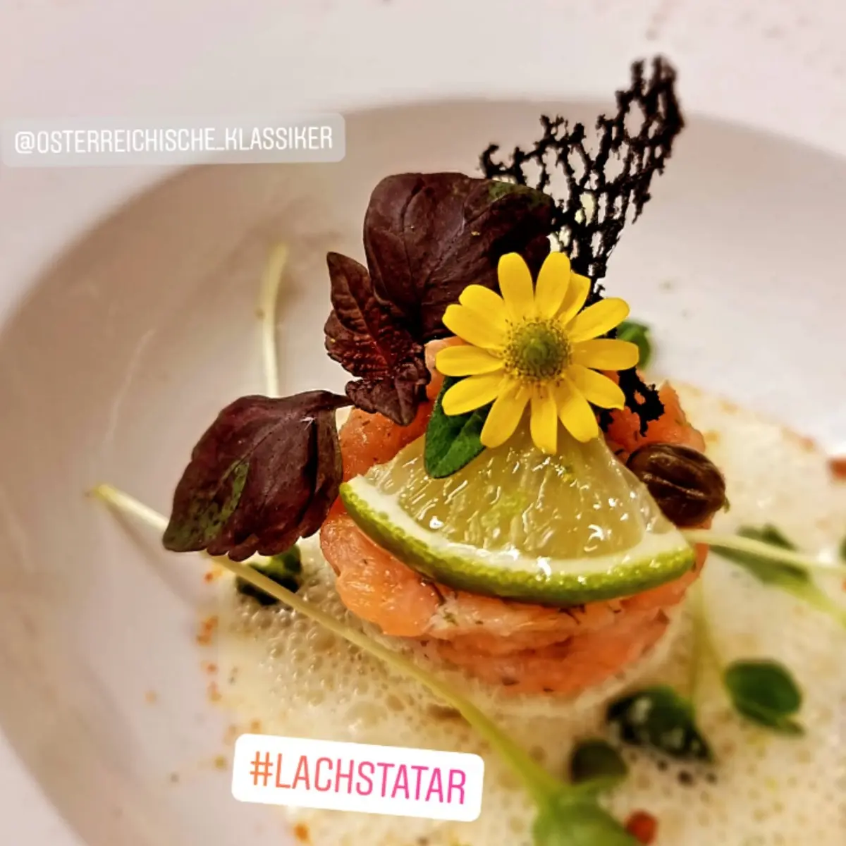 creation thumb for Salmon tartare