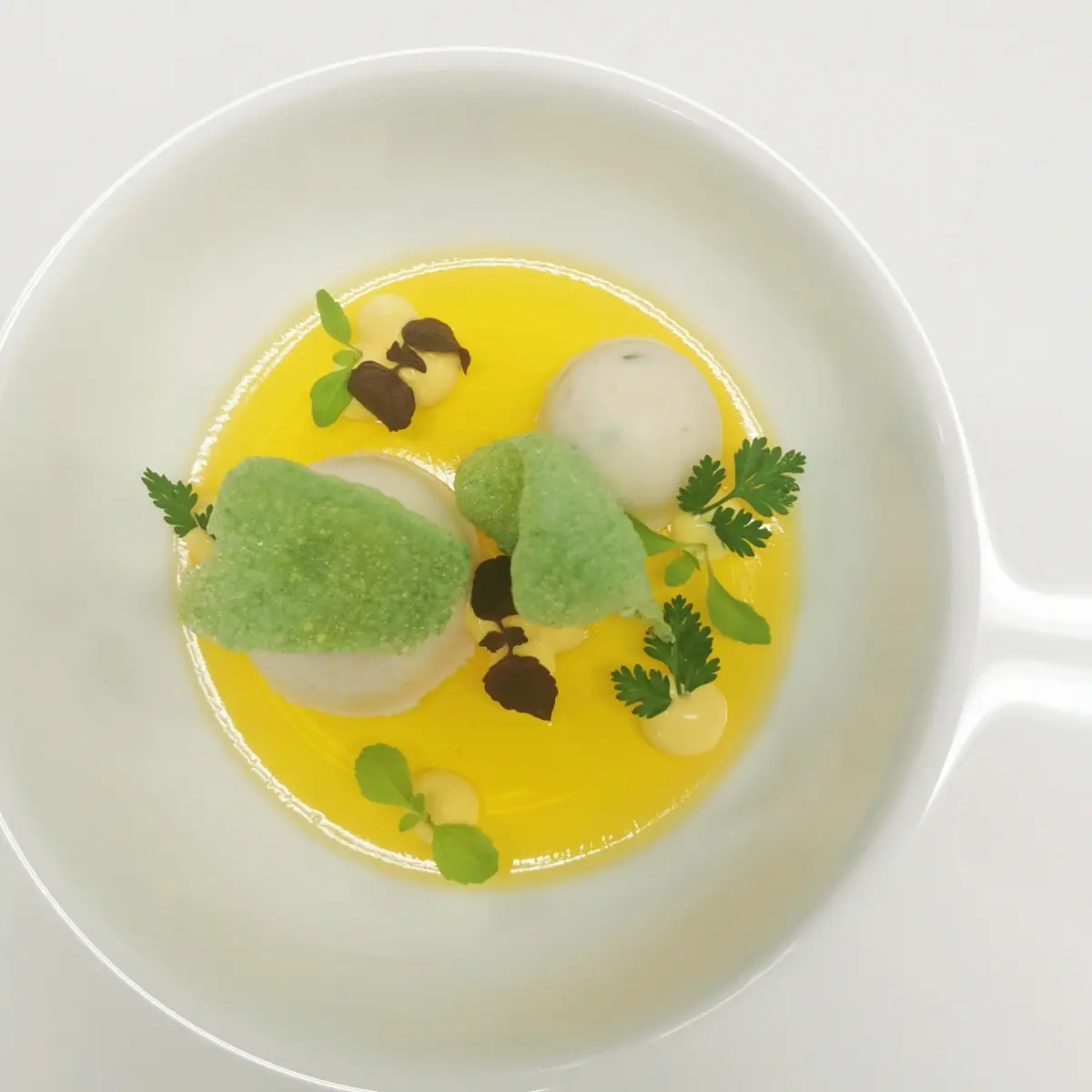 creation thumb for Champagner Gele, shrimp mousse