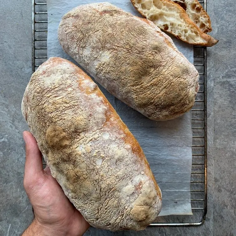 creation thumb for Pan Ciabatta