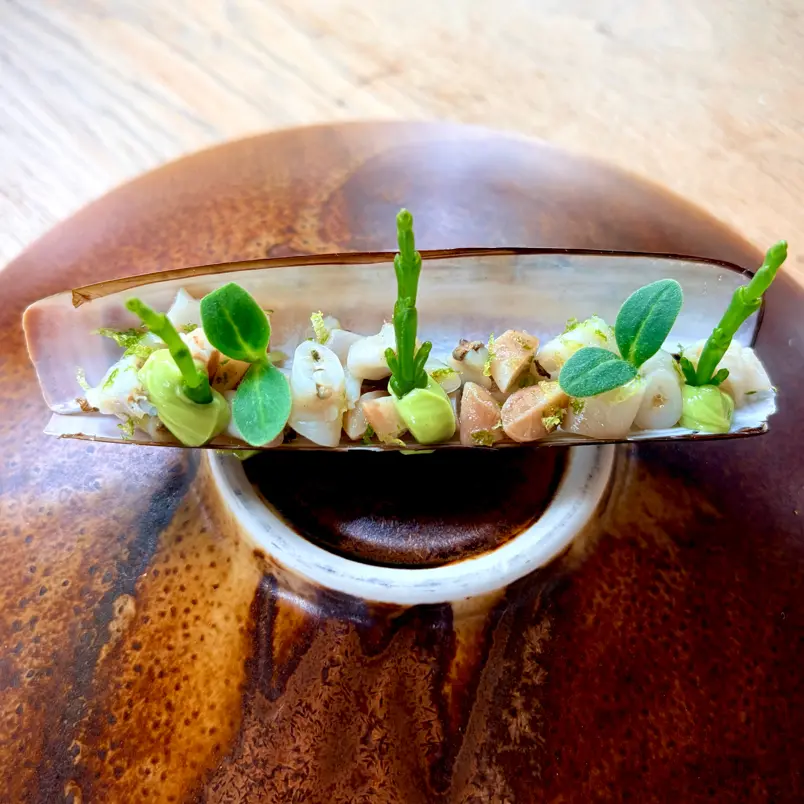 creation thumb for Marinated razor clams