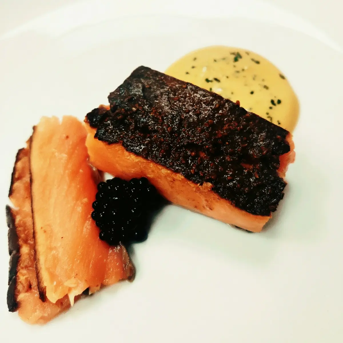creation thumb for Kopi Luwak Rubbed Salmon 