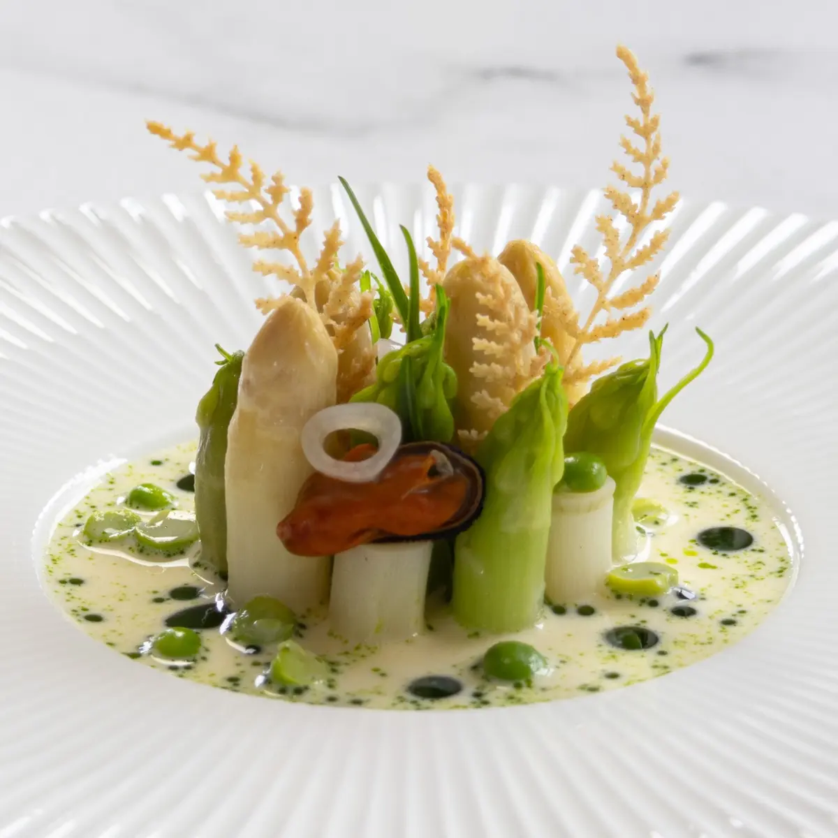 creation thumb for Asparagus 