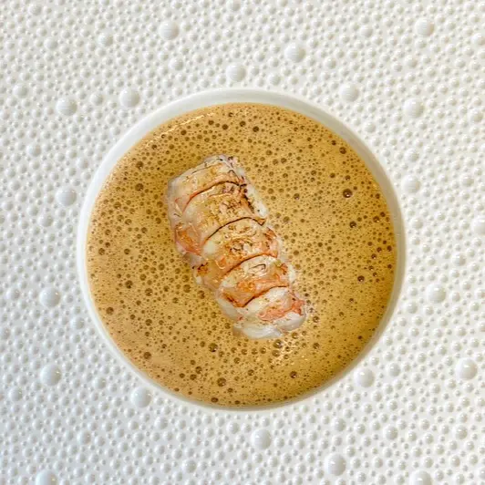 creation thumb for Langoustine-Artichoke-Tomato Foam