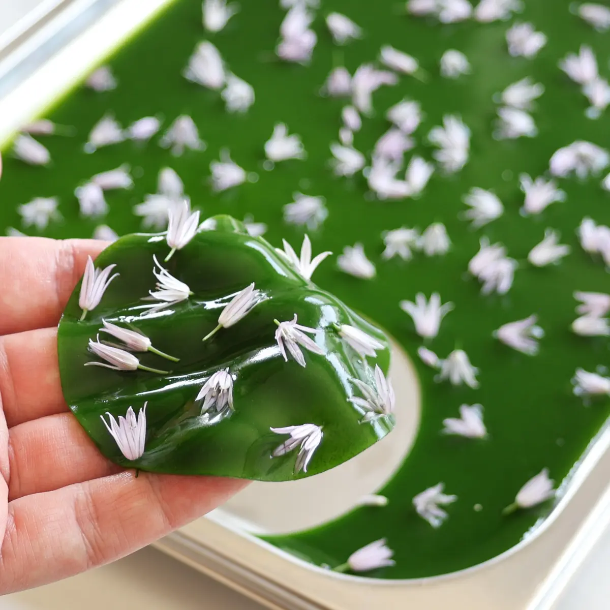 creation thumb for Jalea de Cebollino 🌿