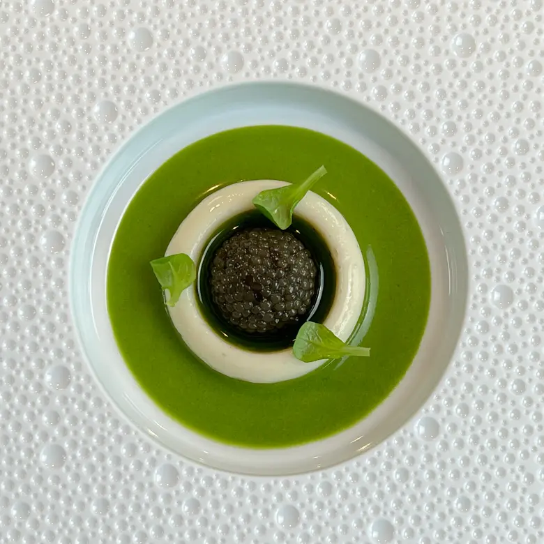 creation thumb for Sea bass flan / Leaf lettuce sauce / Caviar