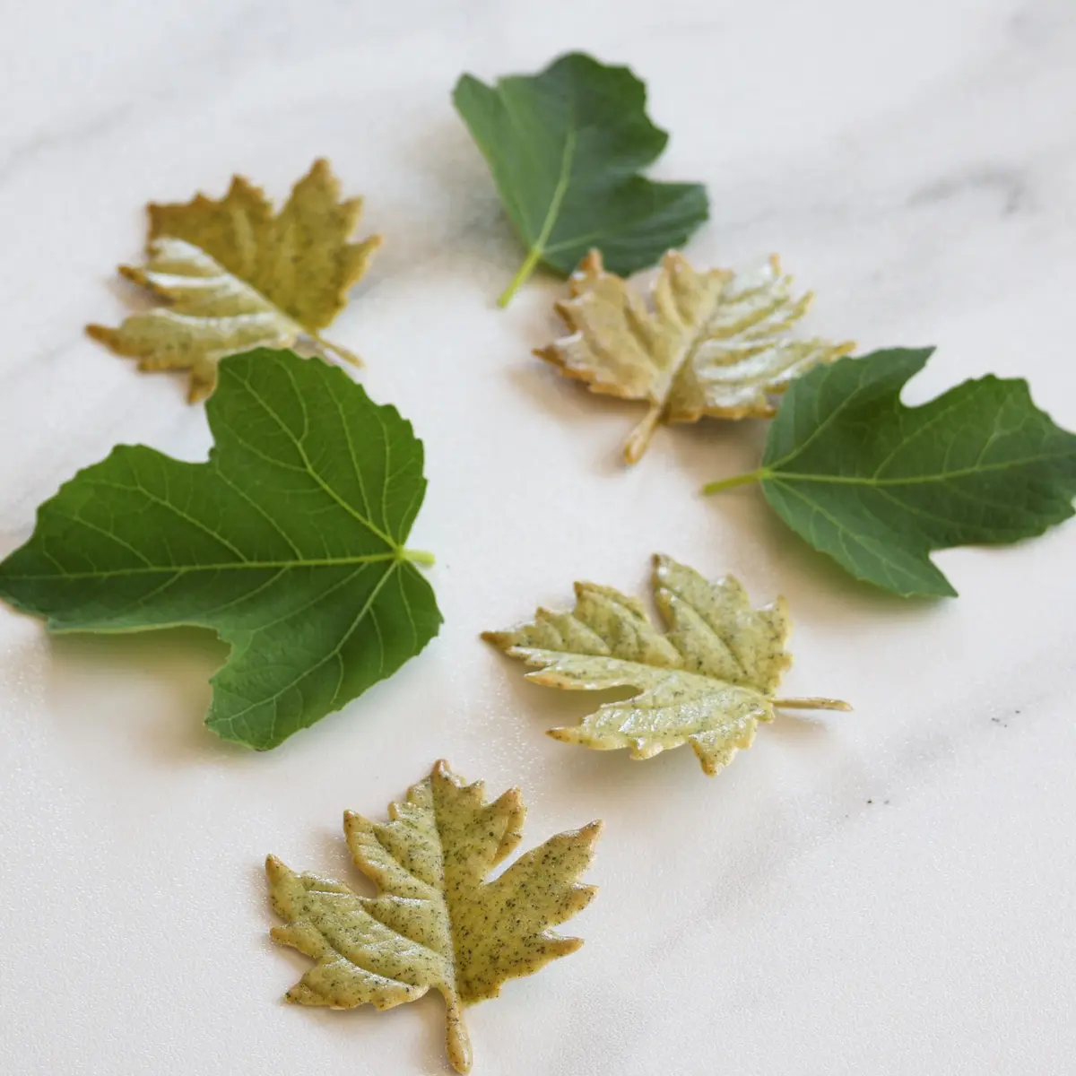creation thumb for Sweet fig leaf tuile with honey