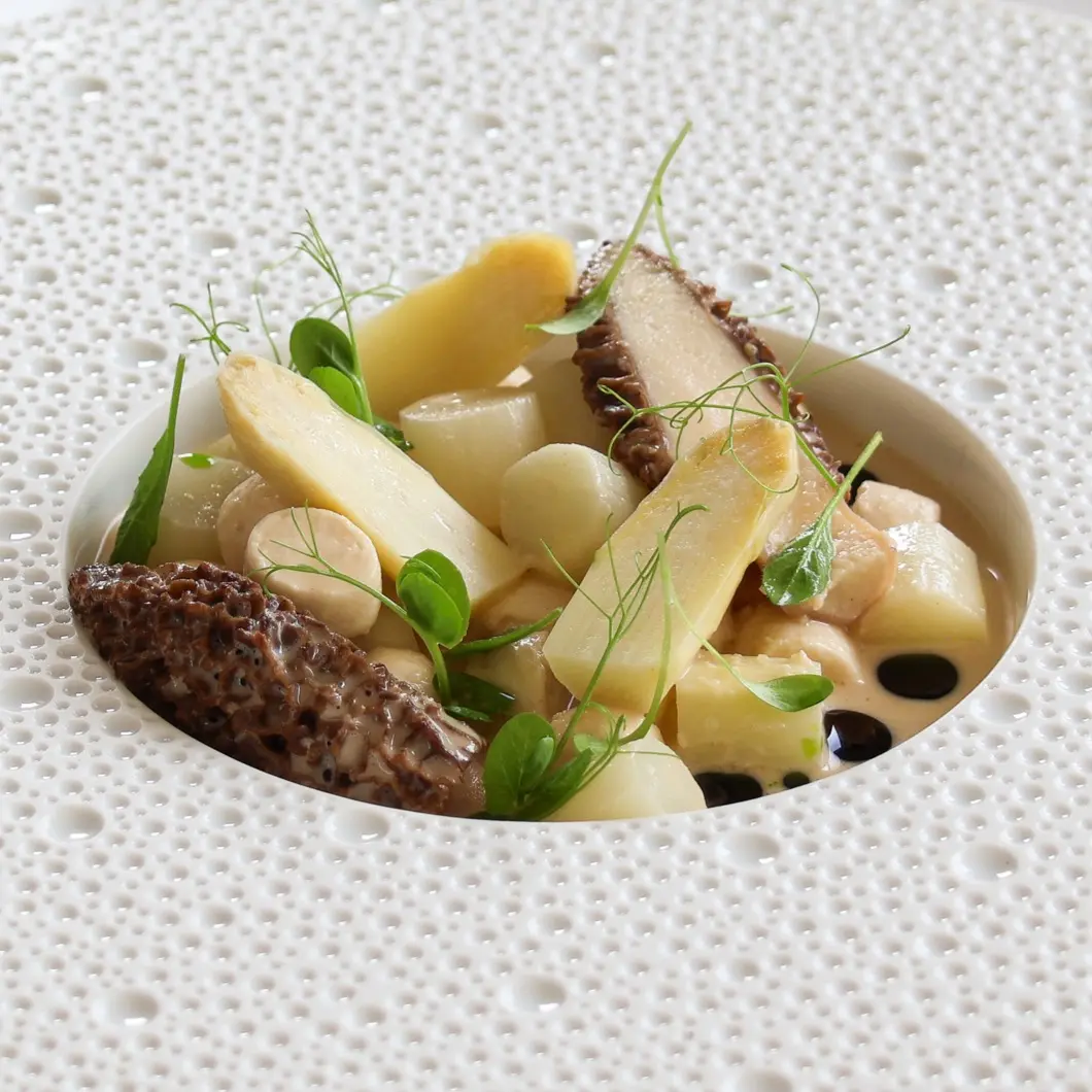 creation thumb for White Asparagus / Chicken Gnocchi, Stuffed Morels 