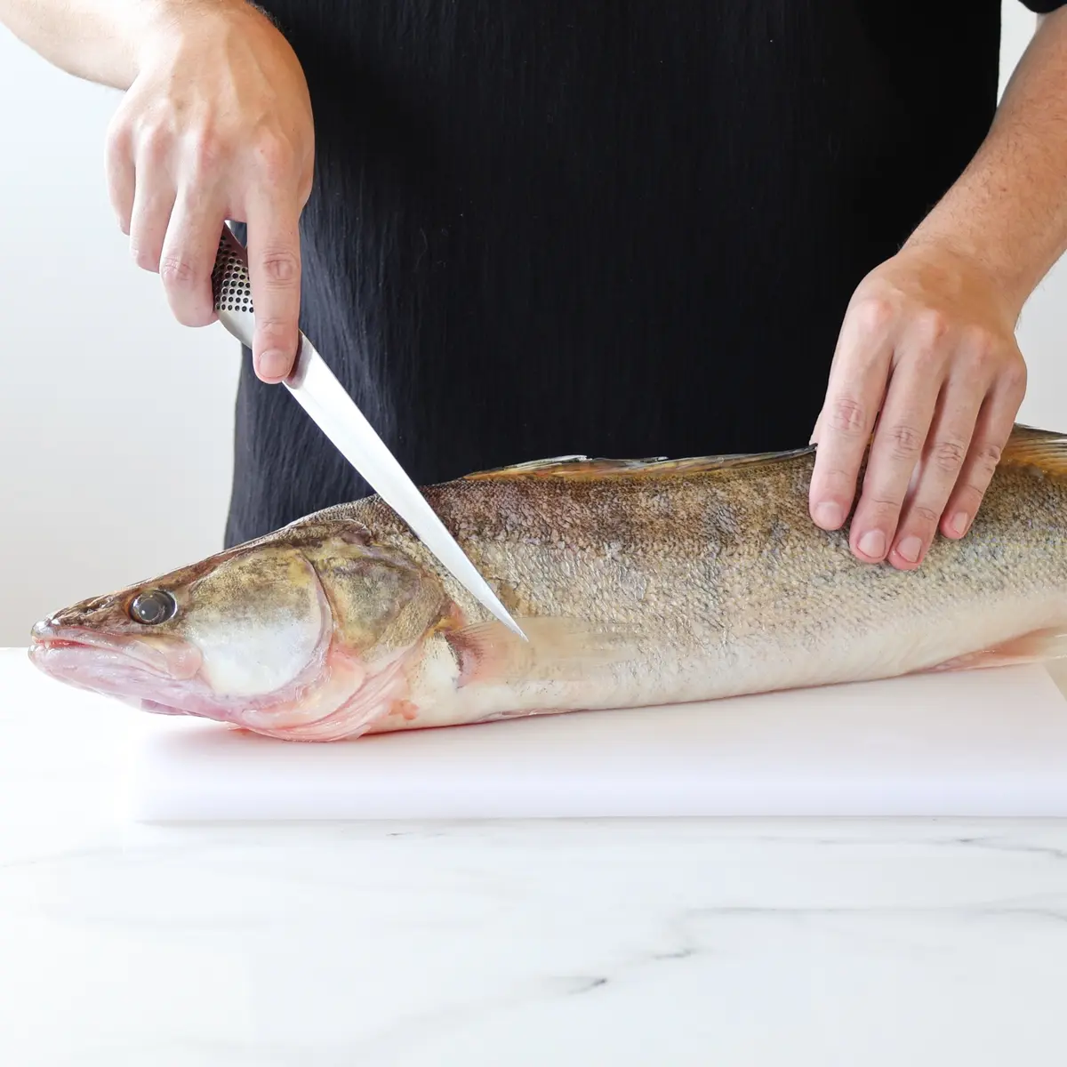 creation thumb for  How to fillet a pike-perch!🐟