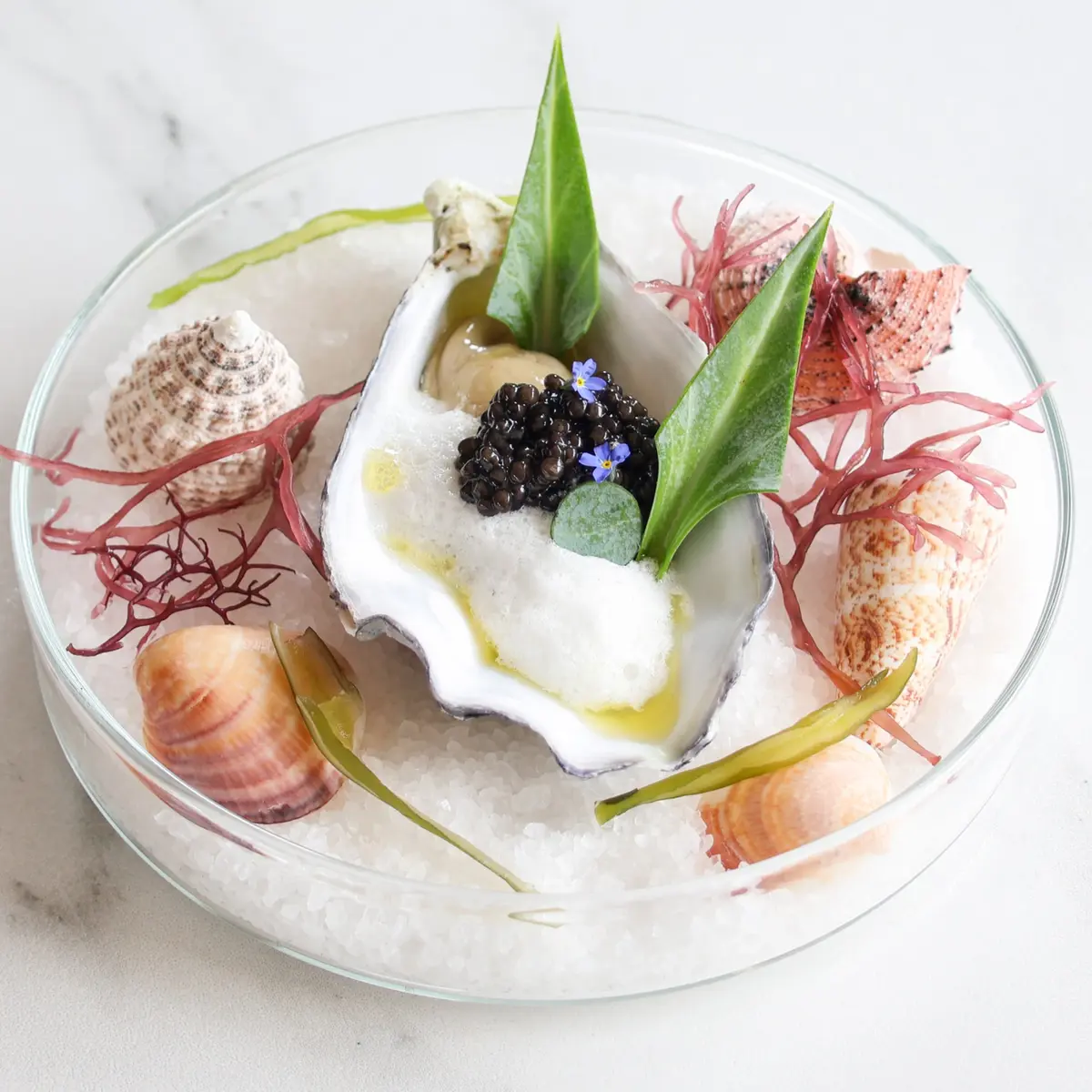creation thumb for Gillardeau oyster / Caviar / Foam
