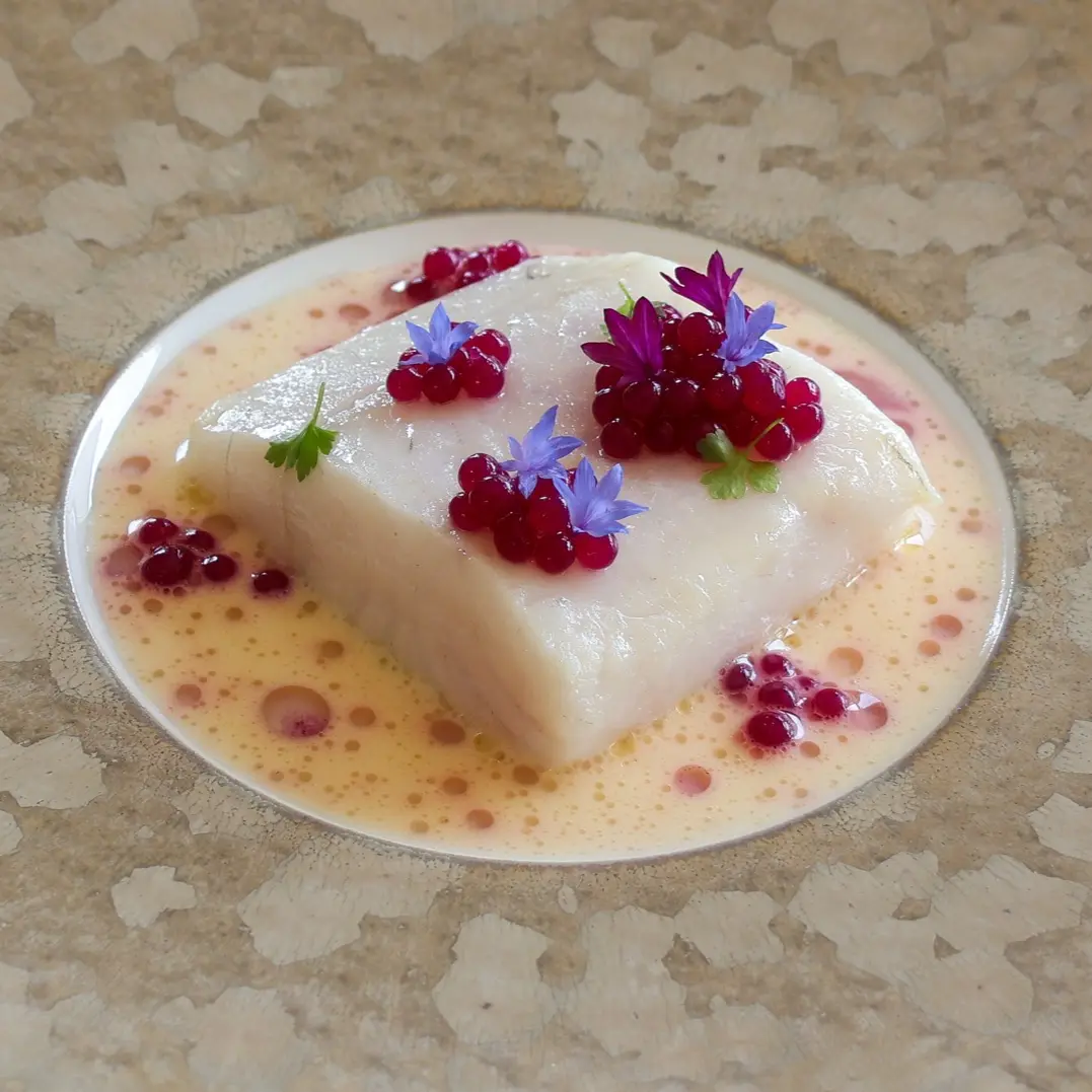 creation thumb for Confit pike-perch / orange beurre blanc / red cabbage oil