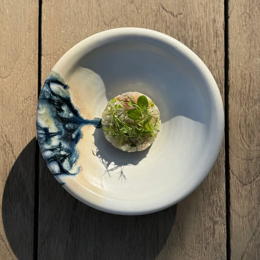 creation thumb for Sea bass ceviche, cucumber and Granny Smith