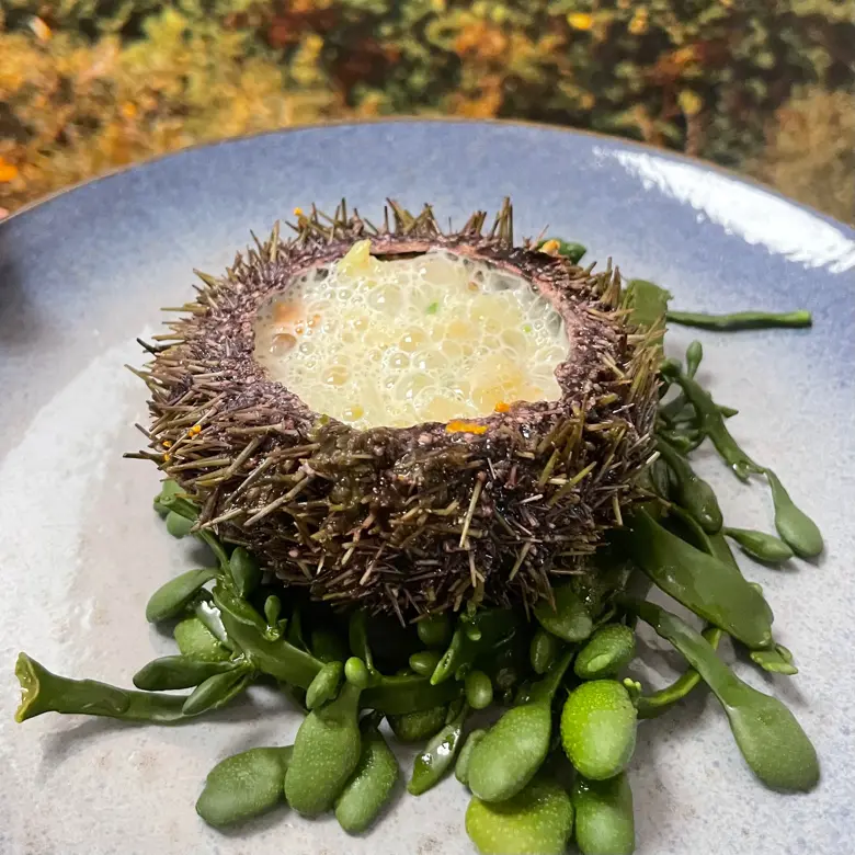 creation thumb for Sea Urchin & Fennel Sauce