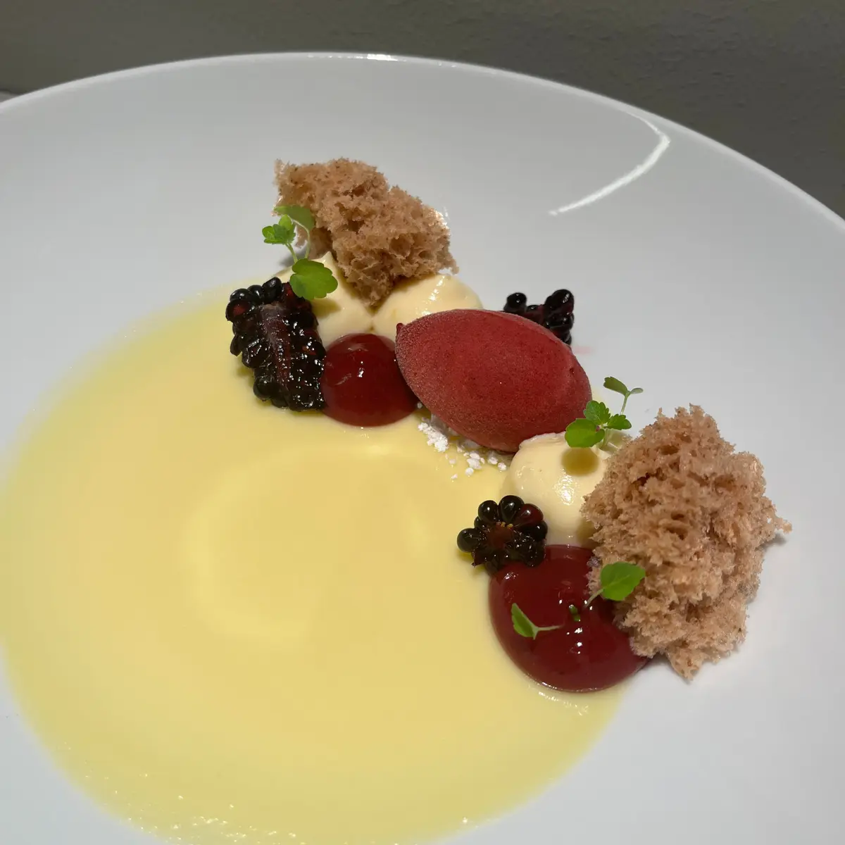 creation thumb for Passionsfrucht Panna Cotta / Weiße Schokolade / Brombeeren