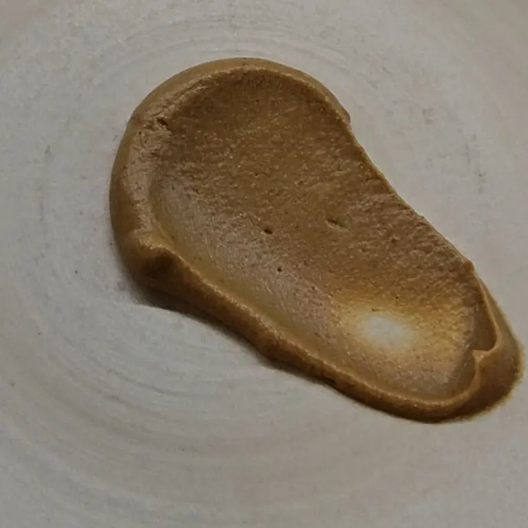 creation thumb for Silky den miso eggplant puree