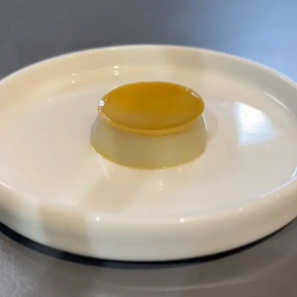 creation thumb for Vegan Guyabano Pudding