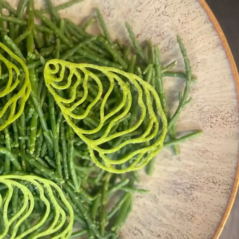 creation thumb for Salicornia Tuile