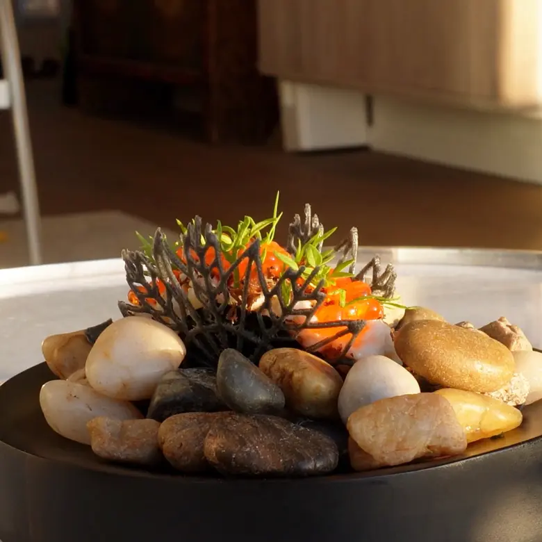 creation thumb for Taco di pesce Bassa con caviale e tartufo Tuile