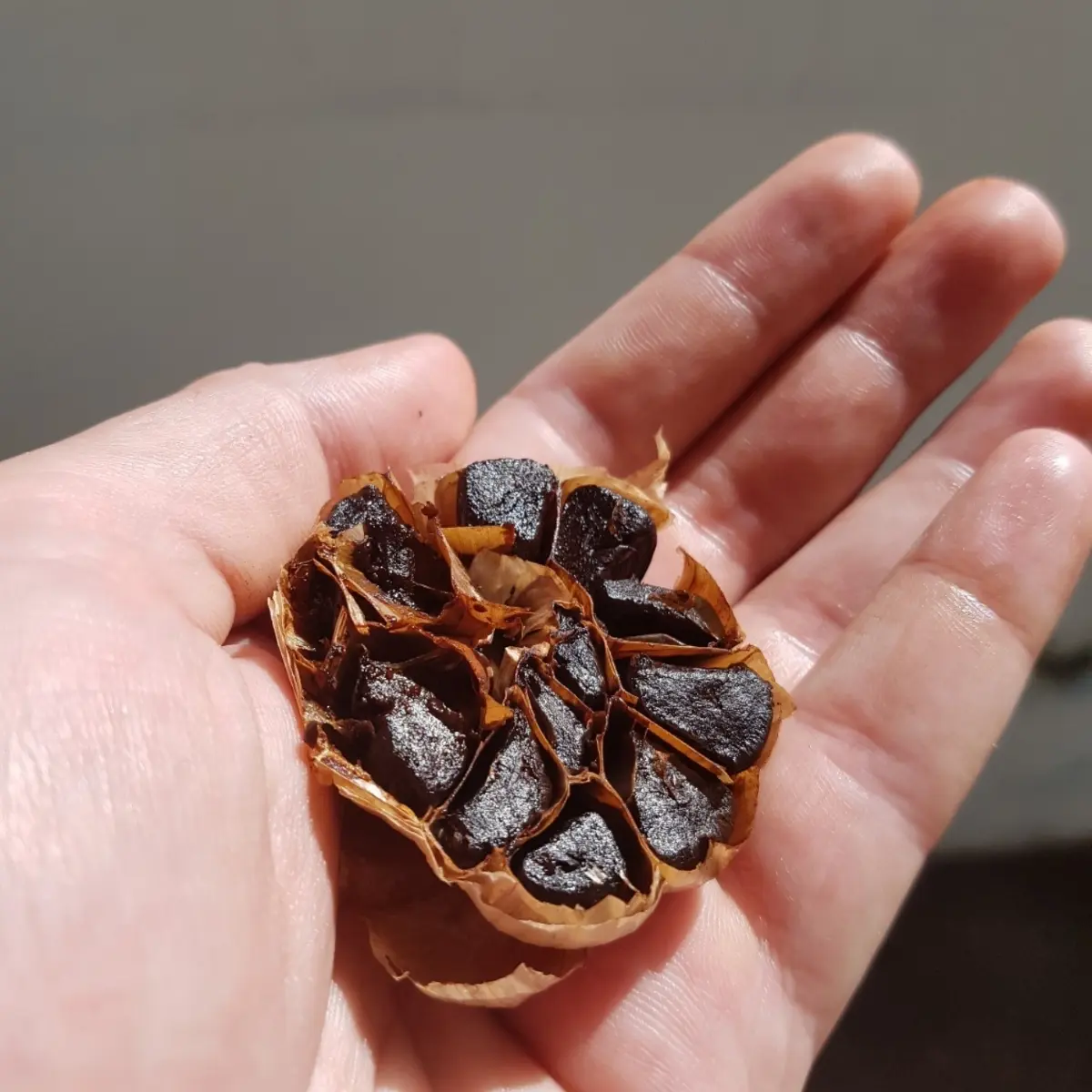 creation thumb for Black Garlic