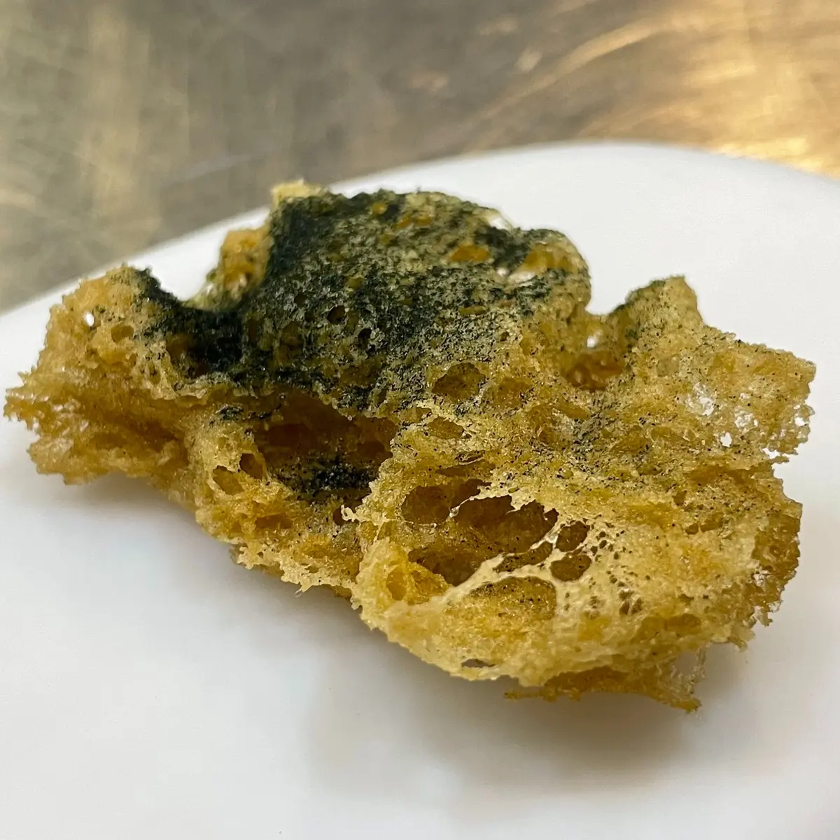 creation thumb for Tempura in a Siphon with Seaweed